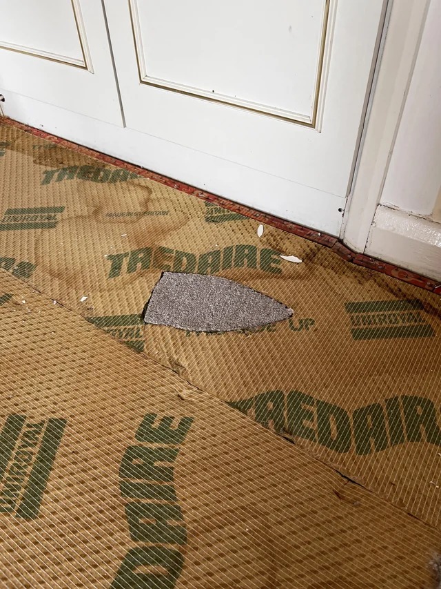 Pulling up old carpets in a new house. Found an iron shaped piece of carpet hiding in the underlay.