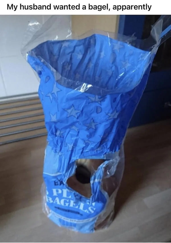 29 Reasons Why Marriages End In Divorce.