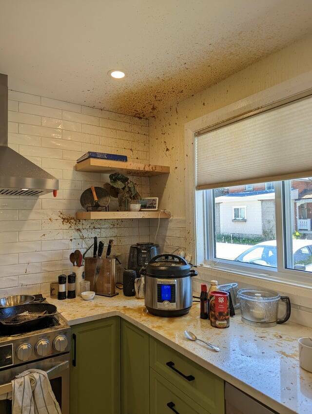 "Instant Pot pulled pork explosion in our brand new kitchen"