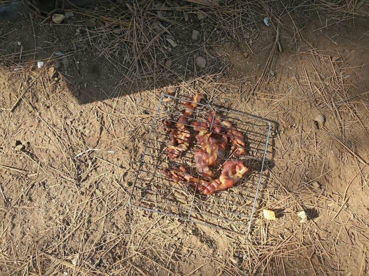 "Breakfast, one of the best parts of camping, but then my brother dropped the bacon. Why are we still here? Just to suffer?"