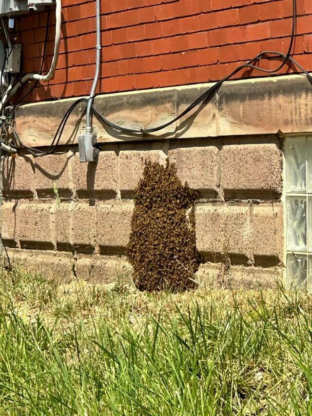 "Moved into a new home 5 days ago and also got a few new roommates"