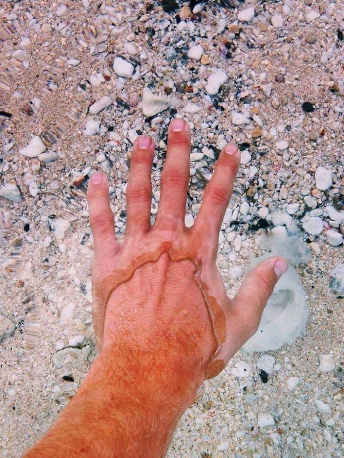 Flathead Lake, The Clearest Water On Earth