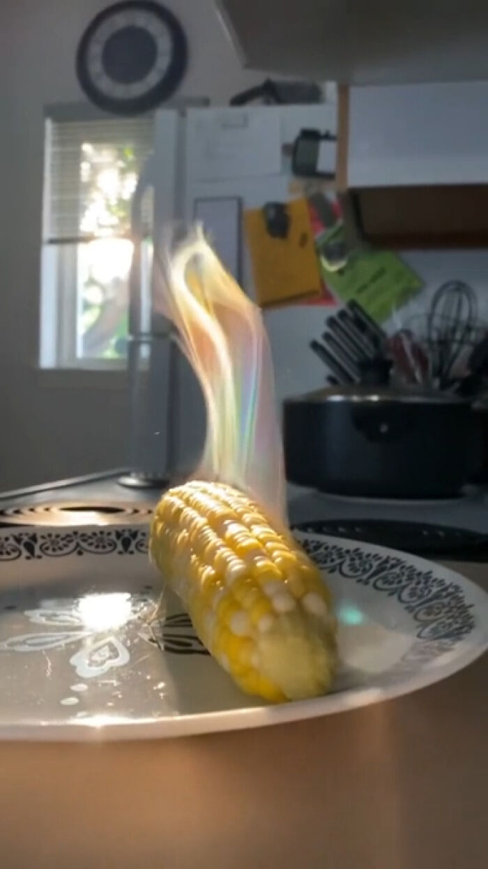 fascinating photos - corn on the cob - sex