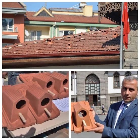 Roof tiles featuring integrated bird shelters. It's truly an innovative concept.