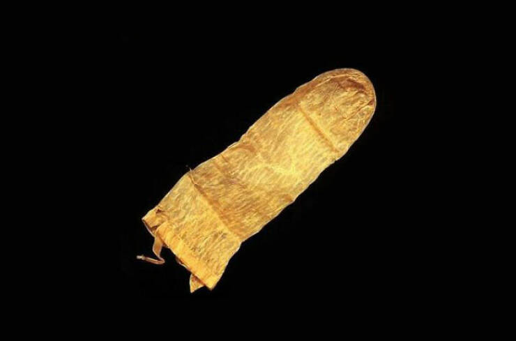 Oldest Condom (370 Years Old)

This sheepskin condom was used in 1640 in Sweden. The reusable condom came with instructions (in Latin) to clean it with warm milk to prevent users from catching STDs.