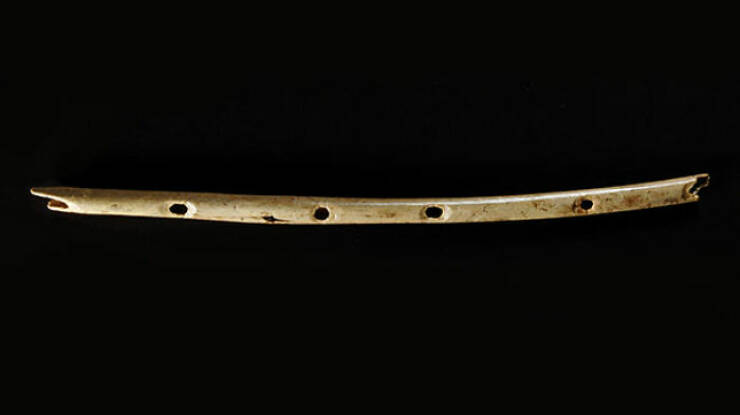 Oldest Instrument (40,000 Years Old)

This 40,000-year-old vulture-bone flute was found in southern Germany. Some scientists believe that music may have given our ancestors a strategic advantage over Neanderthals.