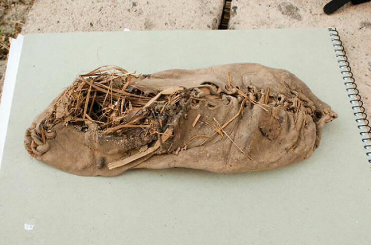 Oldest Shoe (5,500 Years Old)

This 5,500-year-old cowhide moccasin was found in a cave in Armenia, preserved by grass and dry sheep dung. The left shoe was not found.