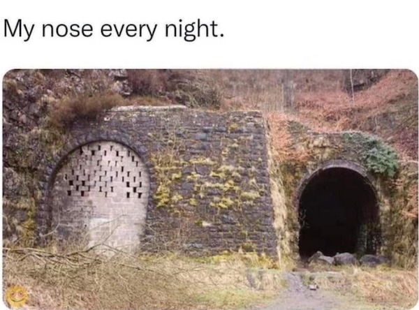relatable memes - historic site - My nose every night.