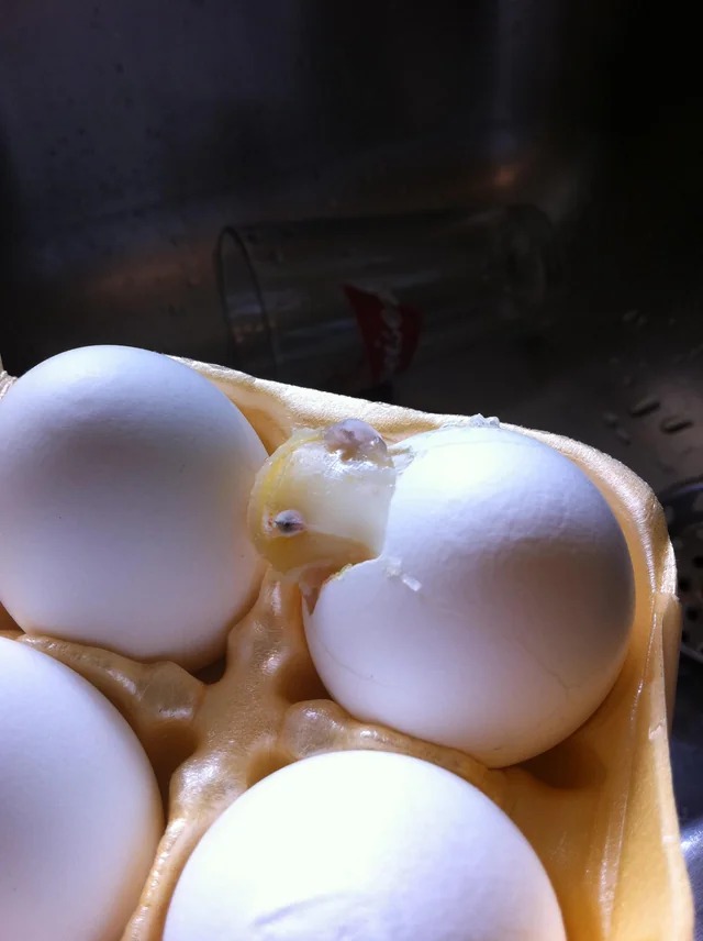 30 Images That Are Oddly Terrifying.