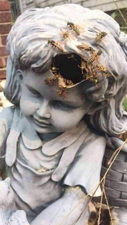 30 Images That Are Oddly Terrifying.