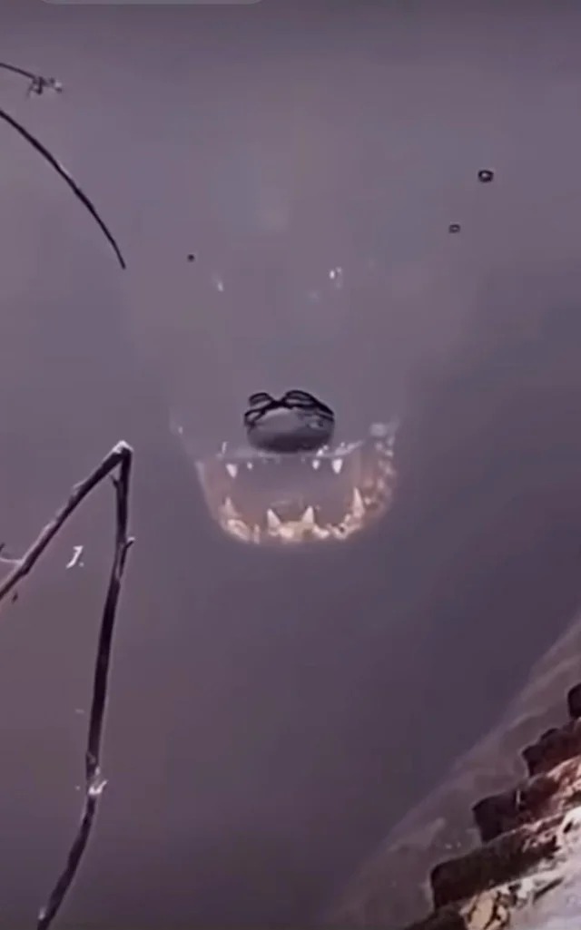 30 Images That Are Oddly Terrifying.