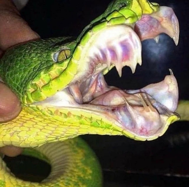 30 Images That Are Oddly Terrifying.