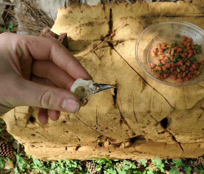 30 Images That Are Oddly Terrifying.