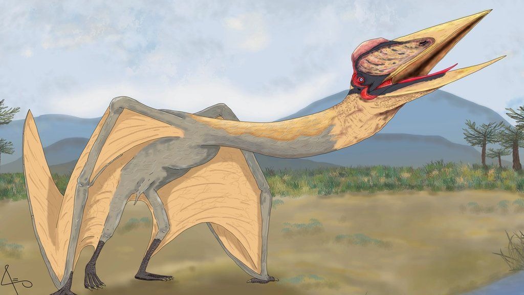 There used to be a flying reptile that was as tall as a giraffe.