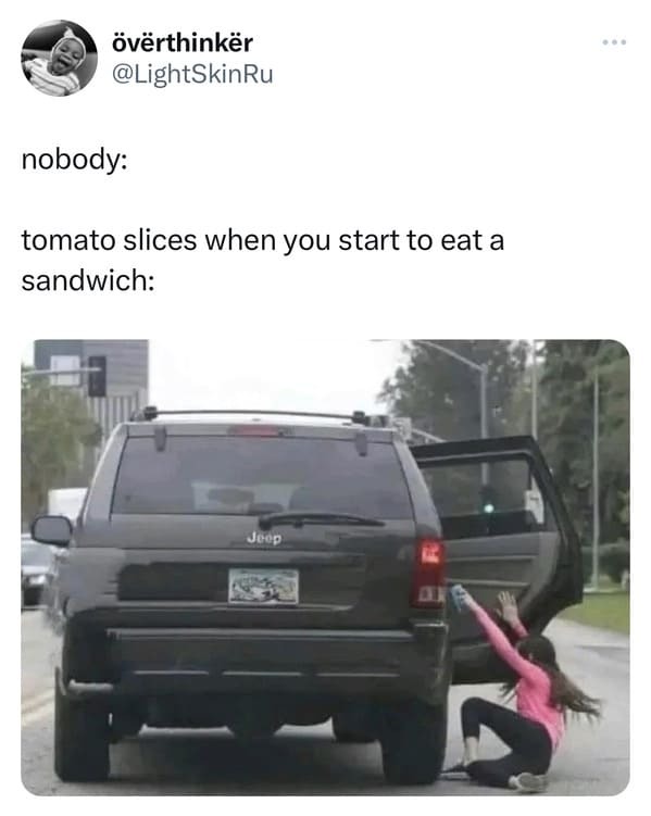 funny tweets -  bumper - vrthinkr nobody tomato slices when you start to eat a sandwich Jeep D