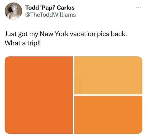 funny tweets -  orange - Todd 'Papi' Carlos Just got my New York vacation pics back. What a trip!! ...