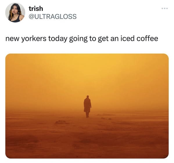 funny tweets -  - - trish new yorkers today going to get an iced coffee