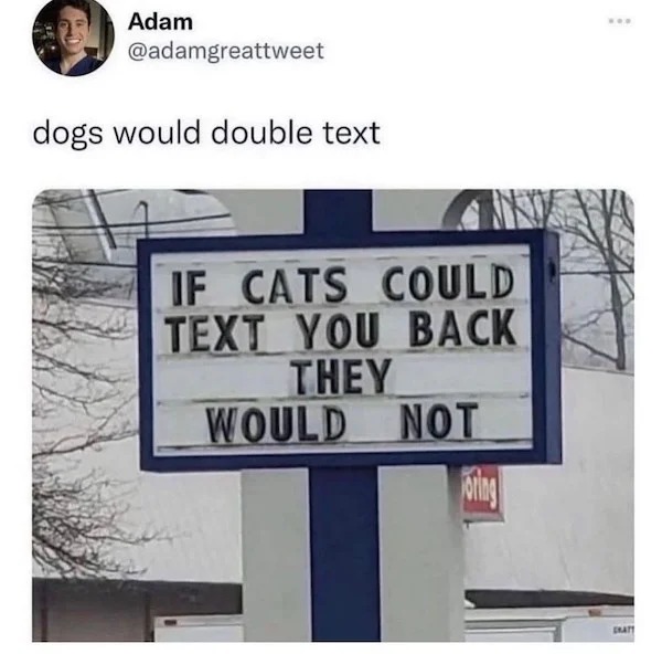 funny tweets -  street sign - Adam dogs would double text Inst If Cats Could Text You Back They Would Not oring www Gratt