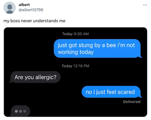 funny tweets -  multimedia - albert my boss never understands me Are you allergic? Today just got stung by a bee i'm not working today Today no i just feel scared Delivered