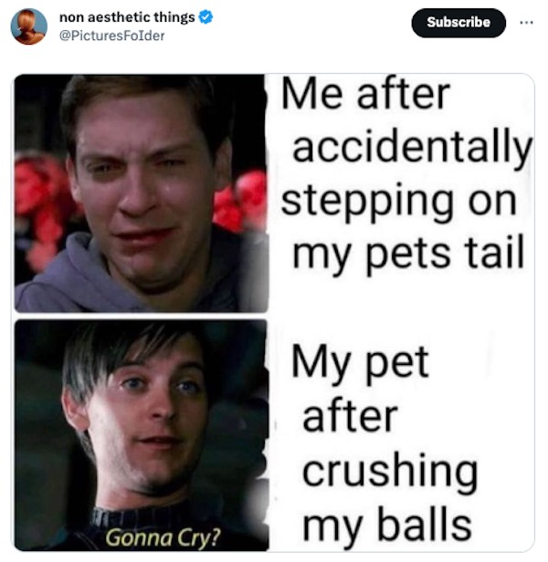 twitter  highlights - facial expression - non aesthetic things Gonna Cry? Subscribe Me after accidentally stepping on my pets tail My pet after crushing my balls