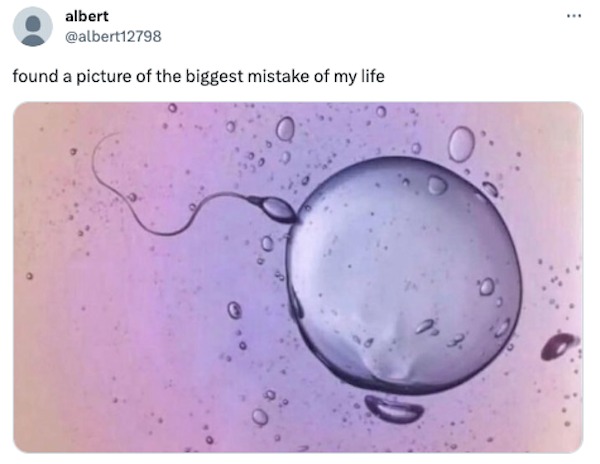 funny tweets -  water - albert found a picture of the biggest mistake of my life 3.