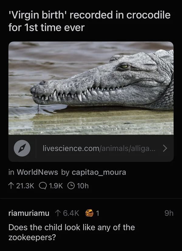 crocodile - 'Virgin birth' recorded in crocodile for 1st time ever livescience.comanimalsalliga... > in World News by capitao_moura Q 10h riamuriamu 1 Does the child look any of the zookeepers? 9h