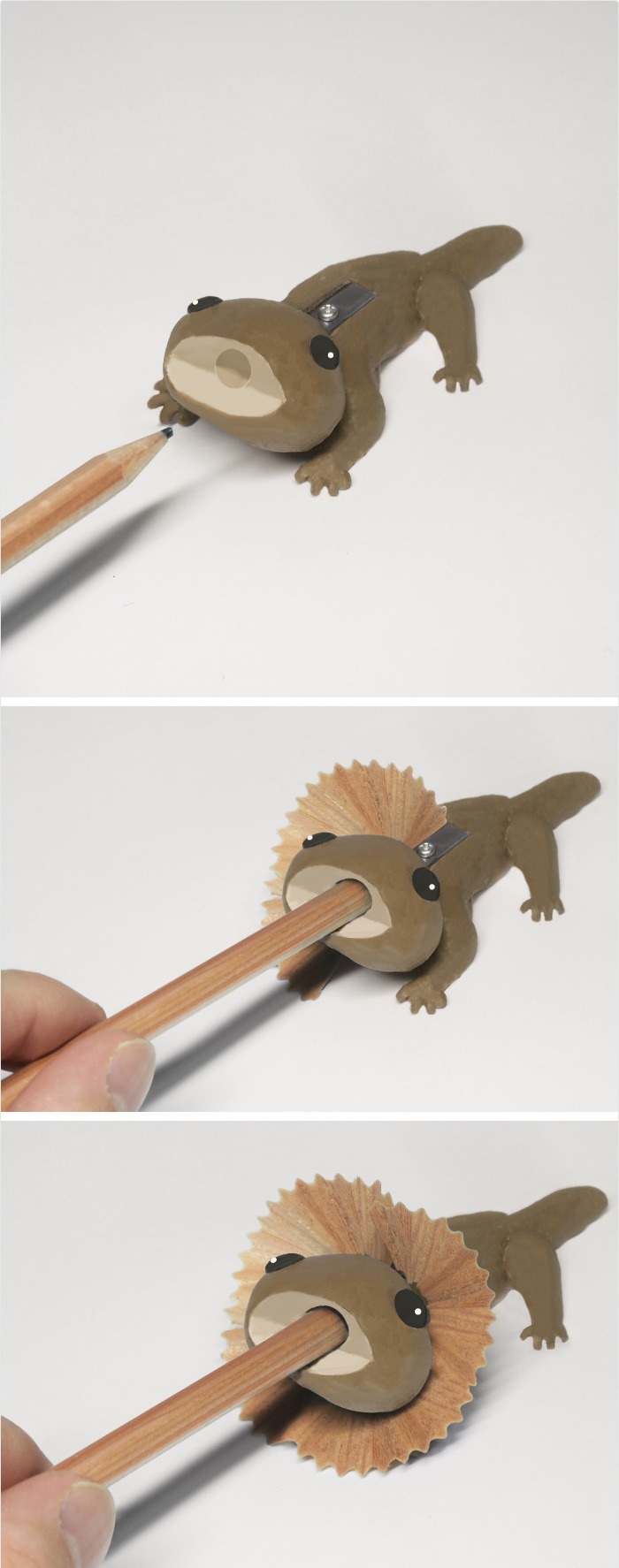 Pencil Shavings Create Frilled Lizard