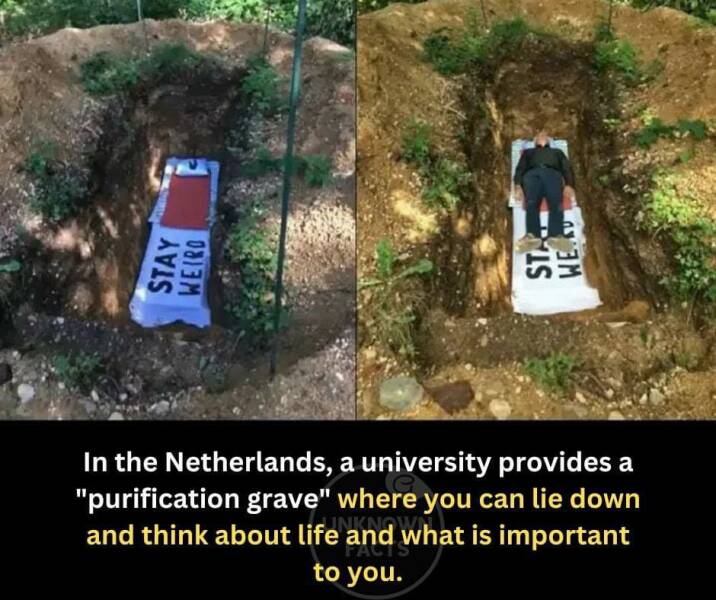 mildly interesting pics - nature reserve - Stay Weiro Is We In the Netherlands, a university provides a "purification grave" where you can lie down and think about life and what is important to you.