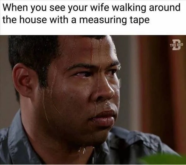fresh memes - alan watts ego meme - When you see your wife walking around the house with a measuring tape The Dad