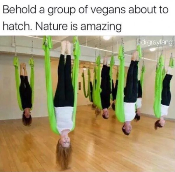 fresh memes - choreography - Behold a group of vegans about to hatch. Nature is amazing drgrayfang