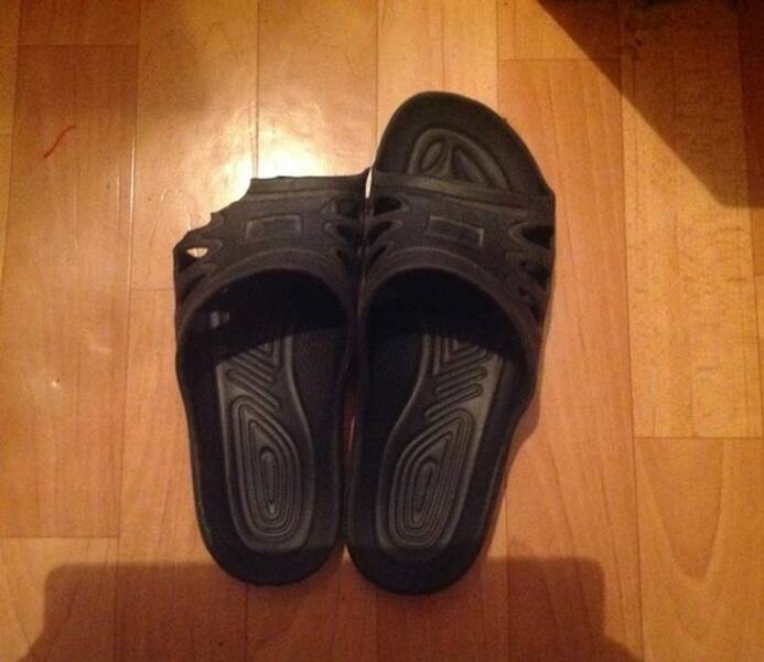 30 Lazy People Who Might Be A Genius.