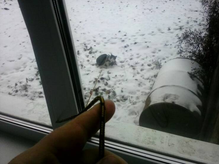 30 Lazy People Who Might Be A Genius.