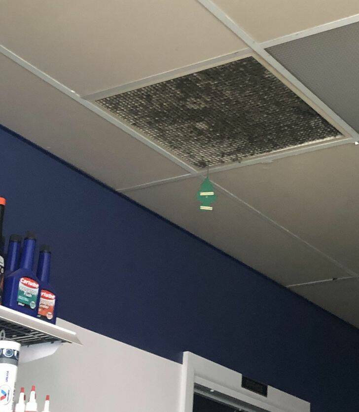 30 Lazy People Who Might Be A Genius.