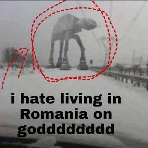 elephants and mammoths - i hate living in Romania on godddddddd