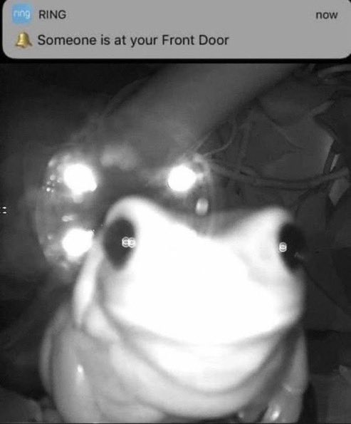 someone's at your door meme - ring Ring Someone is at your Front Door now
