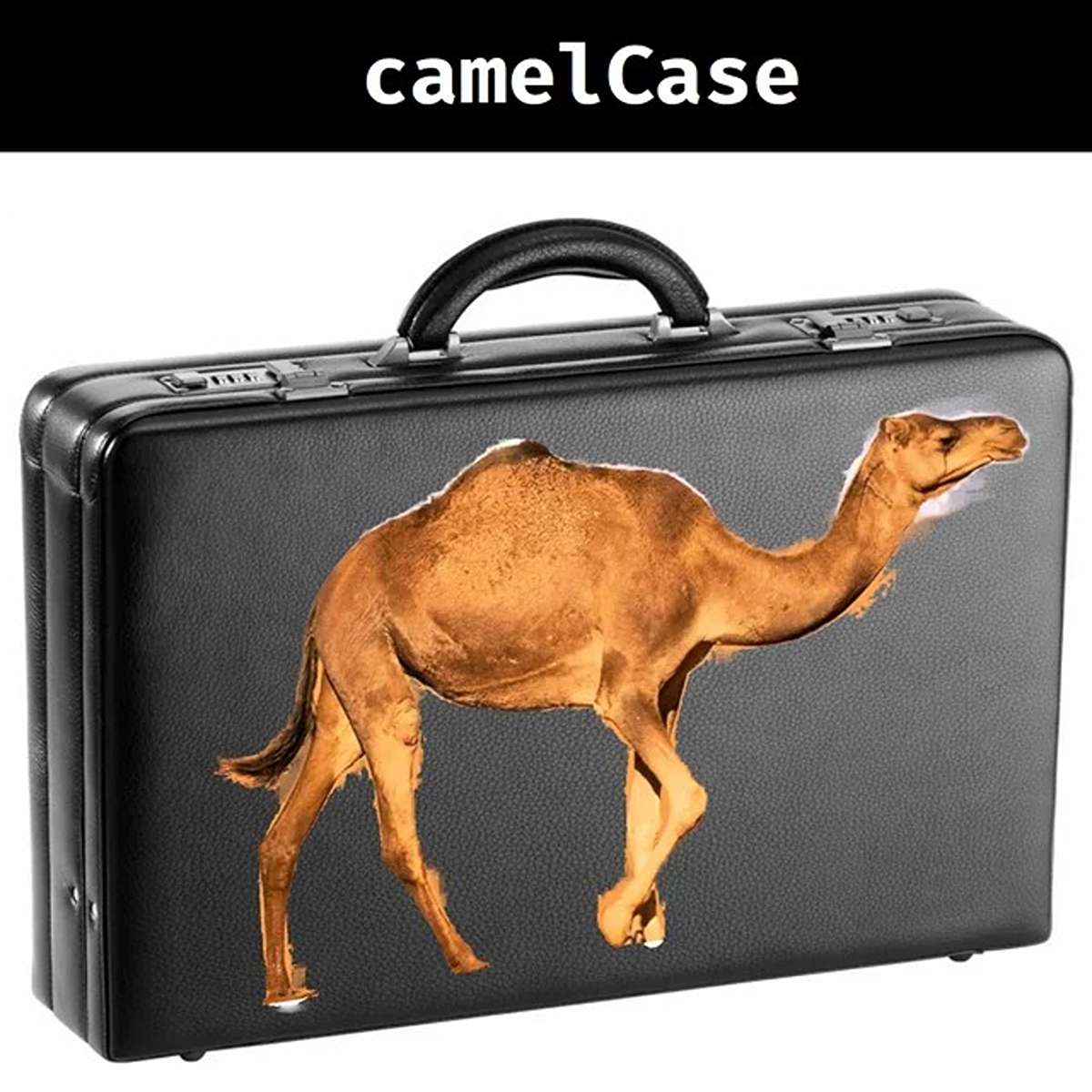 dank memes - camel - Vax camelCase