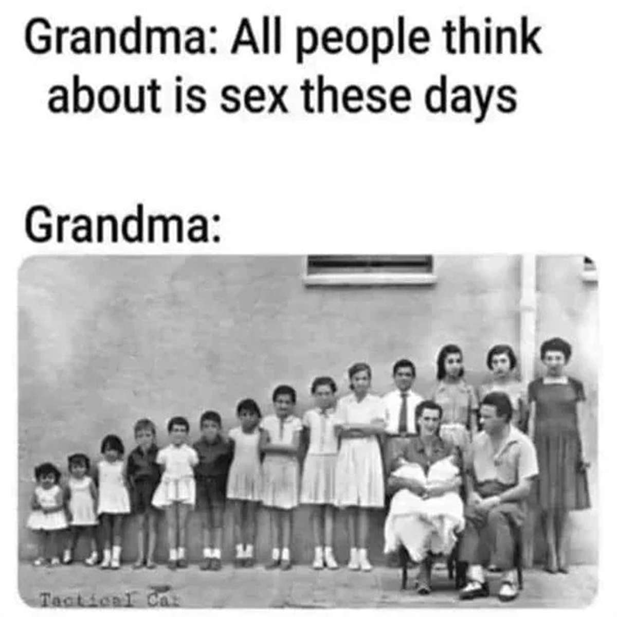 dank memes - grandma all people think about is sex these days - Grandma All people think about is sex these days Grandma Tactical Cat