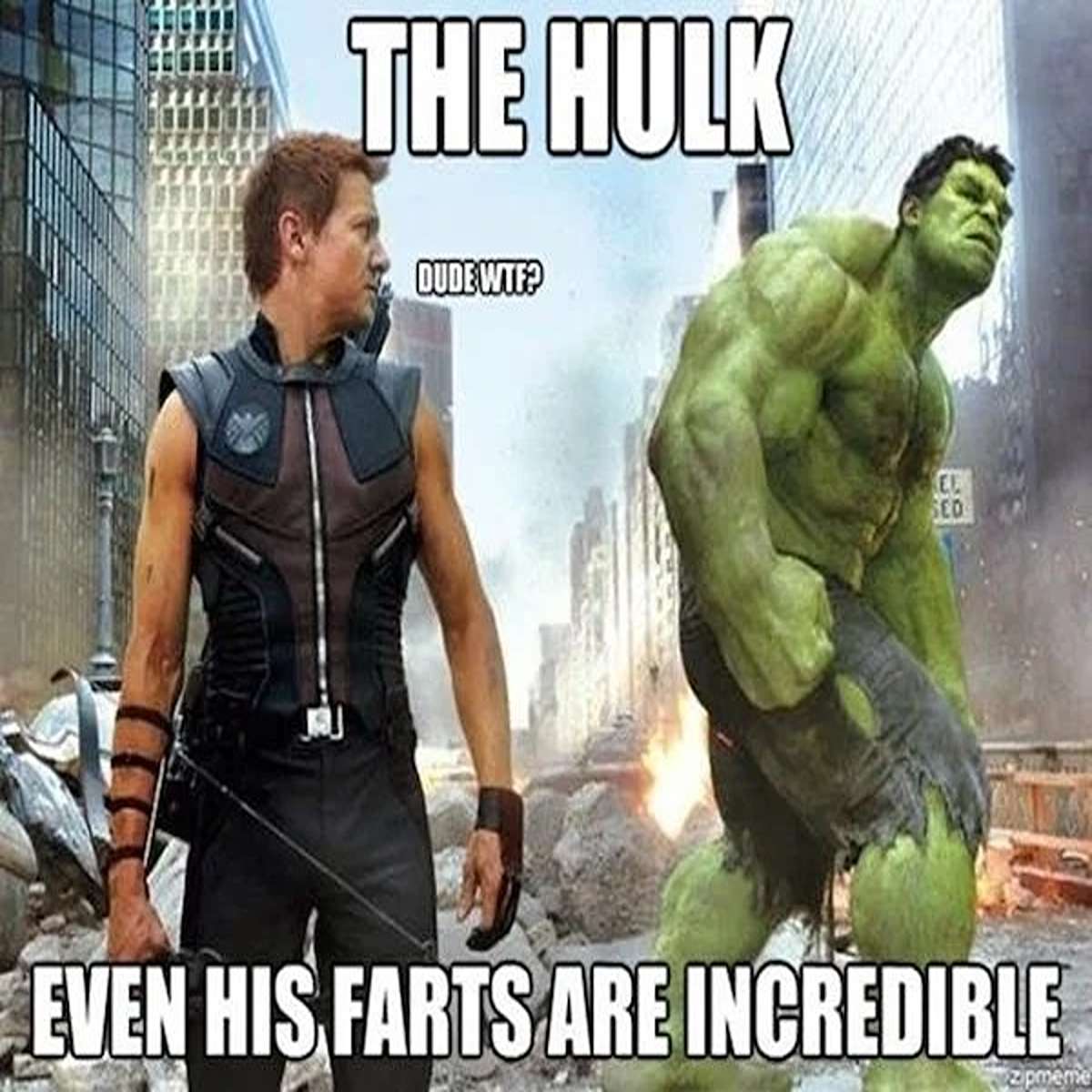 dank memes - al ain zoo - The Hulk Dude Wtf? Sed Even His Farts Are Incredible zipmeme