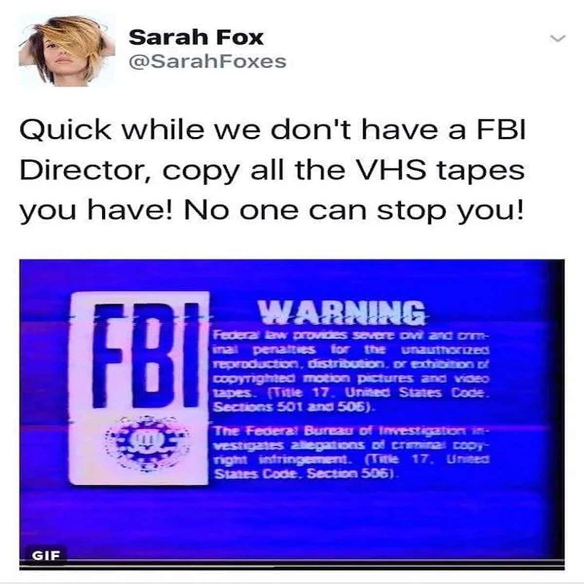 dank memes - media - Sarah Fox Foxes Quick while we don't have a Fbi Director, copy all the Vhs tapes you have! No one can stop you! Gif Fbi Warning Federal law provides severe ovi and crm unauthorized inal penalties for the reproduction, distribution, or