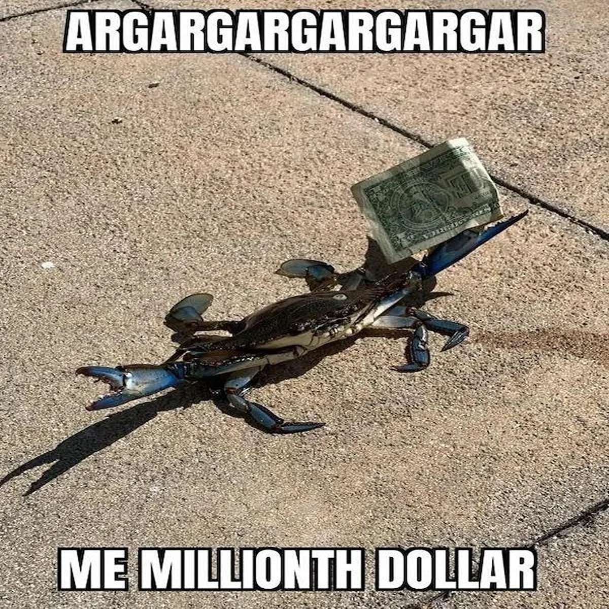 dank memes - gun - Argargargargargar Me Millionth Dollar