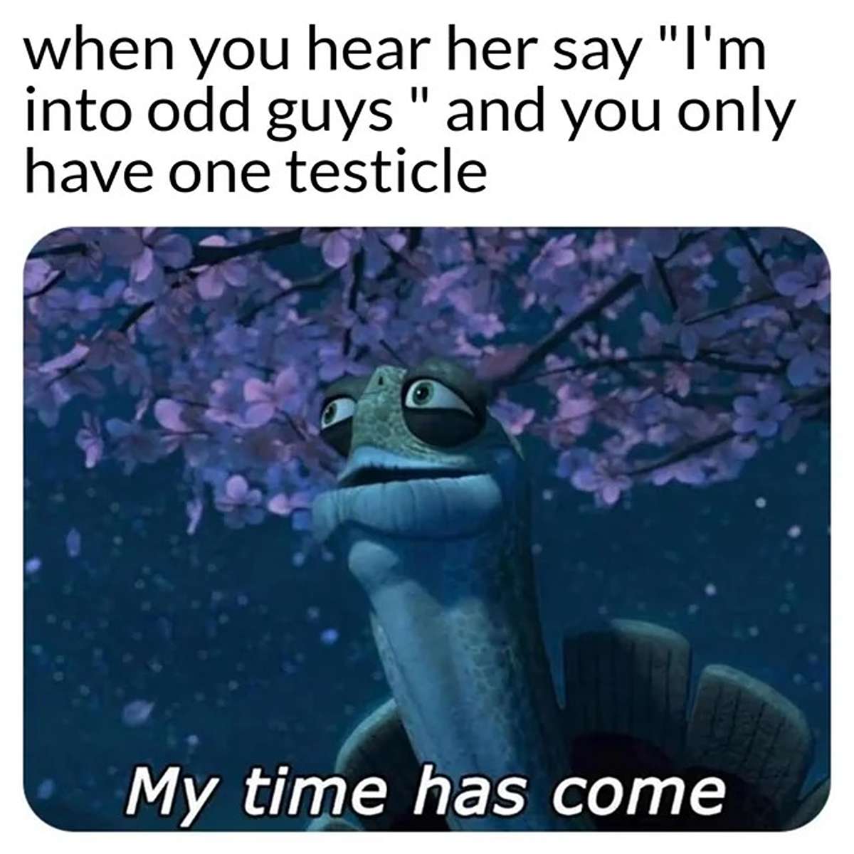 dank memes - adobe flash player meme - when you hear her say "I'm into odd guys " and you only have one testicle My time has come