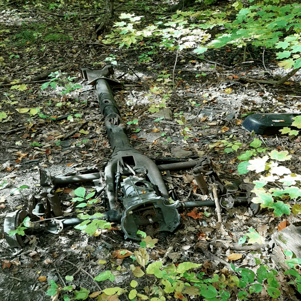 Thing with wheels I found in the woods Answer: he skeletal remains of a Volkswagen Beetle. RIP, little guy.