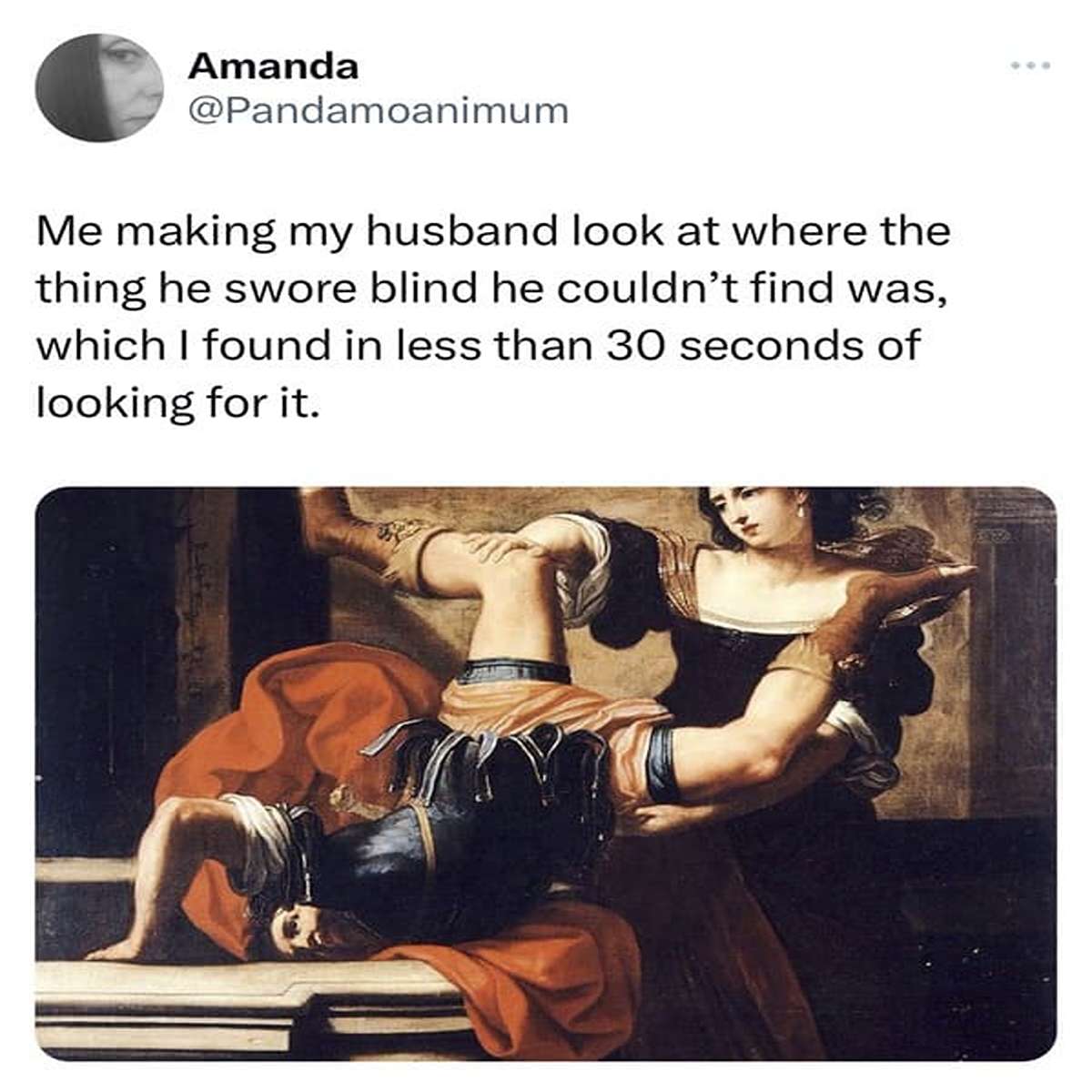 funny tweets and memes - elisabetta sirani timoclea - Amanda Me making my husband look at where the thing he swore blind he couldn't find was, which I found in less than 30 seconds of looking for it.