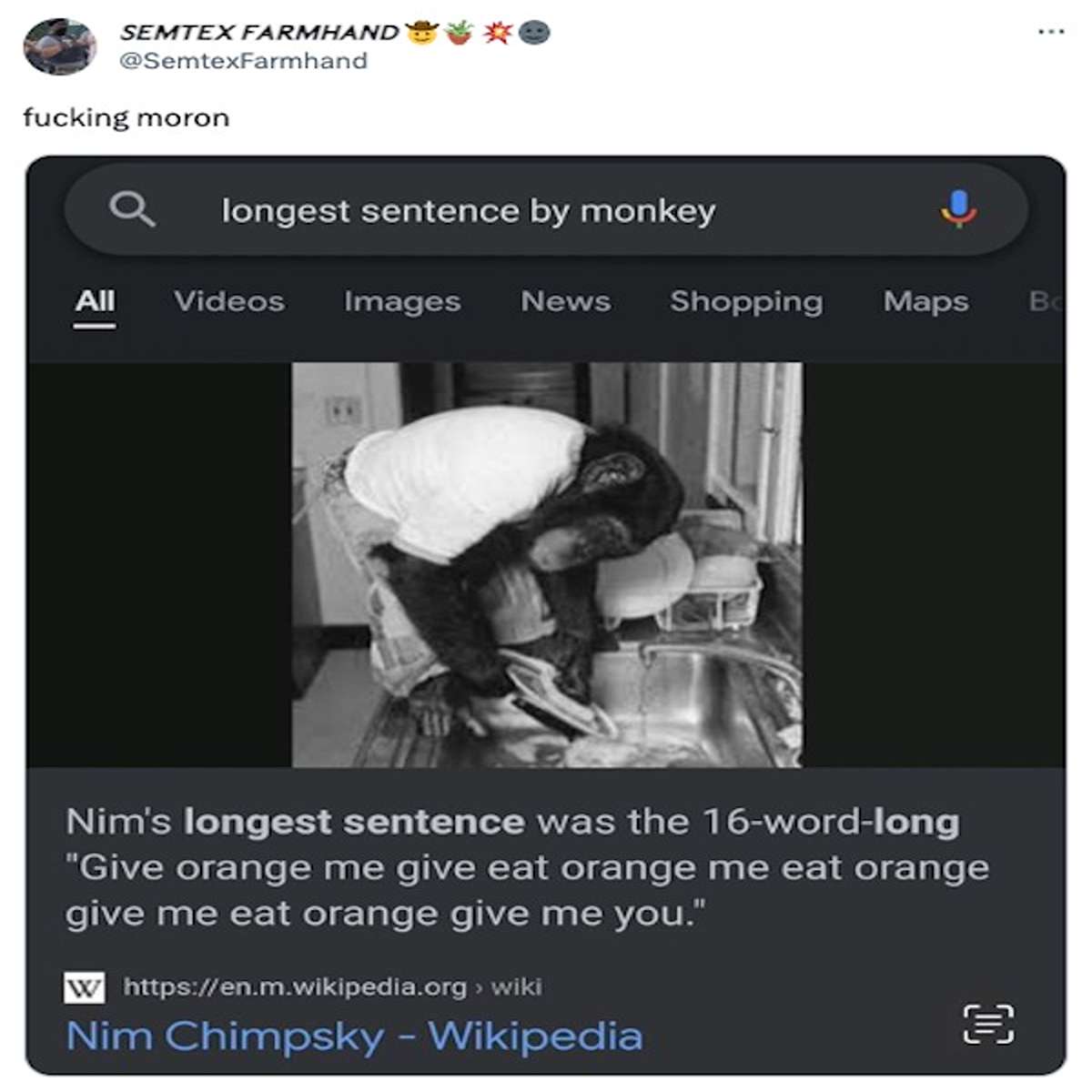 funny tweets and memes - multimedia - Semtex Farmhand fucking moron longest sentence by monkey All Videos Images News Shopping Maps Nim's longest sentence was the 16wordlong "Give orange me give eat orange me eat orange give me eat orange give me you." W 