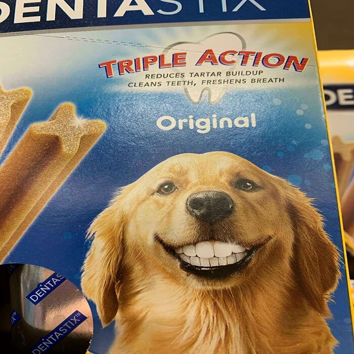 Dog With Human Teeth
