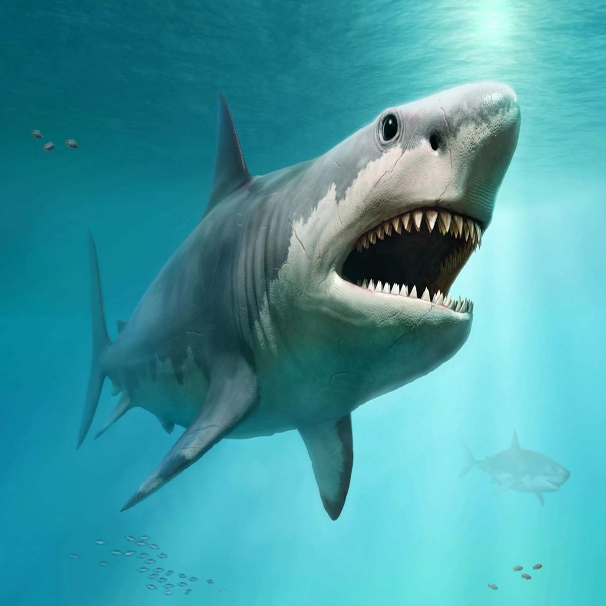 The newborn baby megalodon shark was the same size as an adult great white shark.