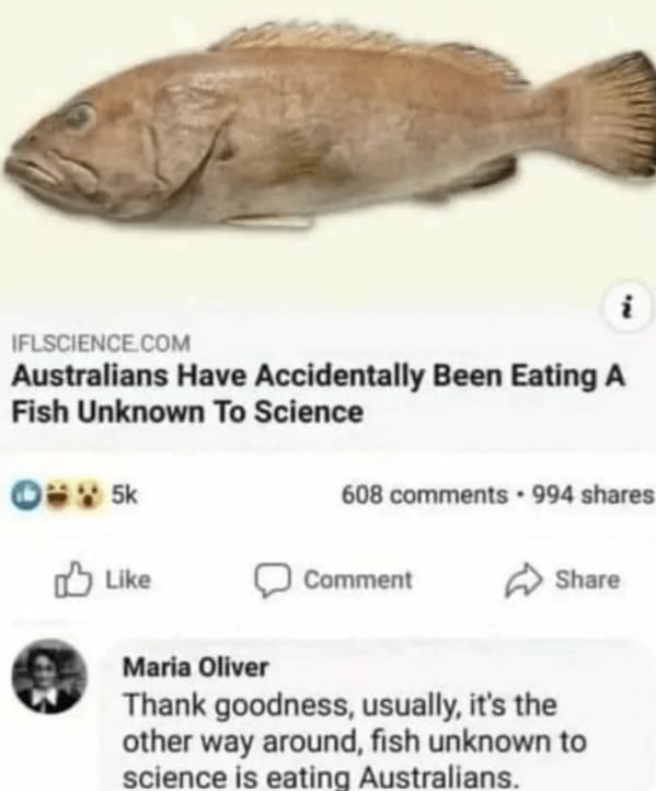 crazy FB posts - australians eating fish unknown to science - Iflscience.Com Australians Have Accidentally Been Eating A Fish Unknown To Science 5k i 608 994 Comment Maria Oliver Thank goodness, usually, it's the other way around, fish unknown to science 