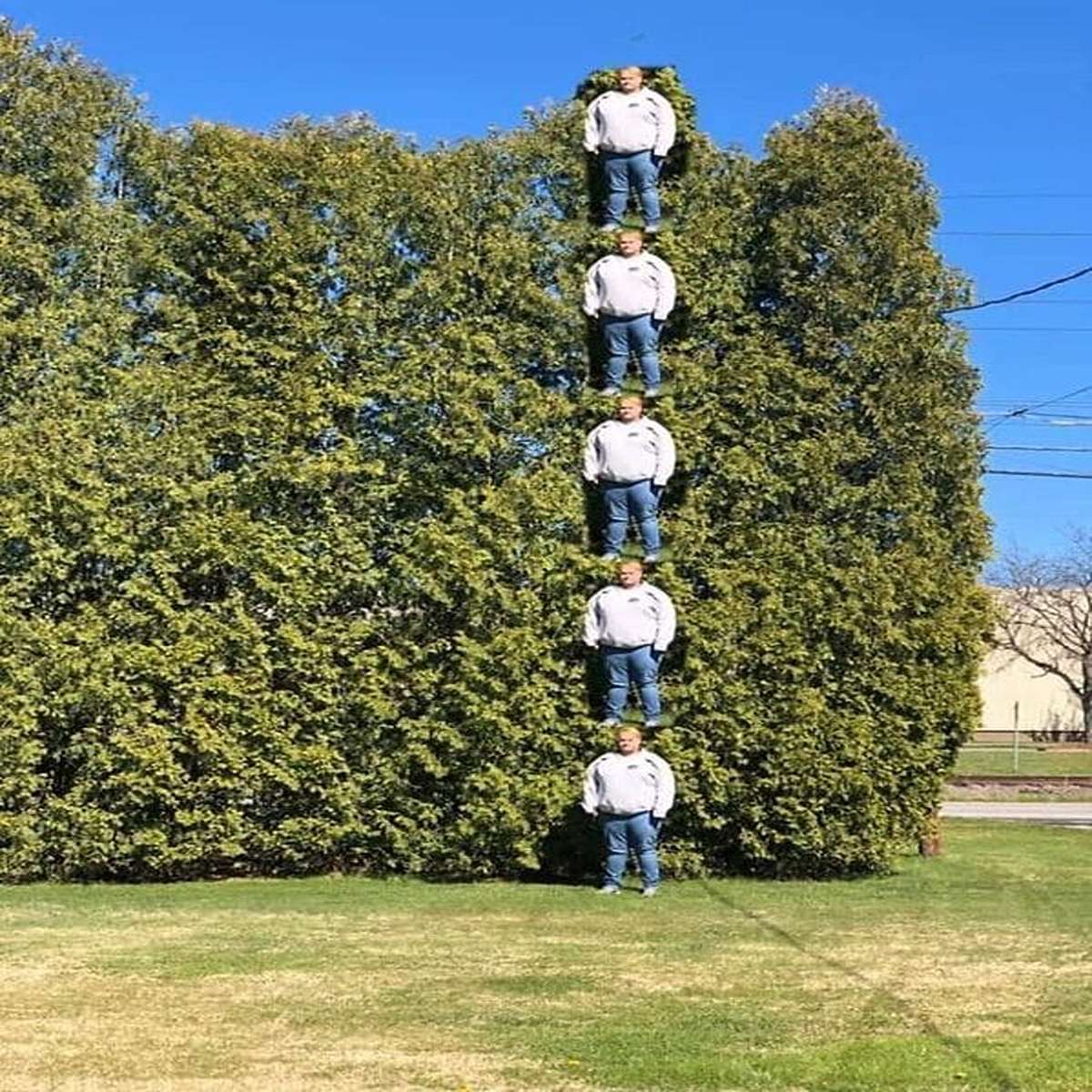 “My Brother Wanted To Measure The Trees In His Yard. This Is How Did He Did It”