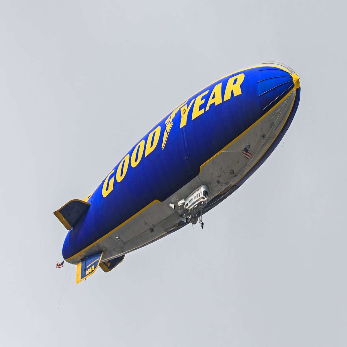 There are only 25 Blimps left on Earth.