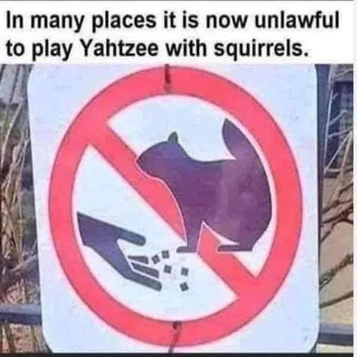 dank memes - traffic sign - In many places it is now unlawful to play Yahtzee with squirrels.